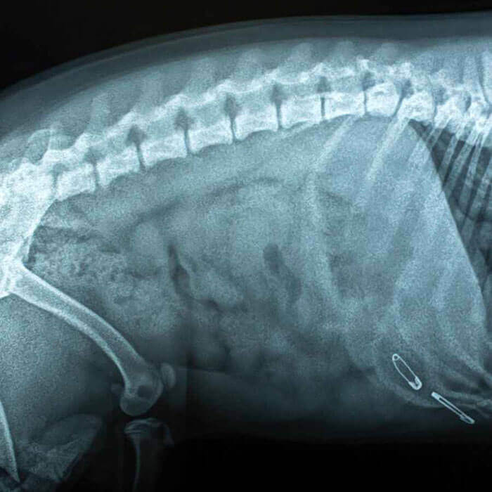 Diagnostics Diagnostics