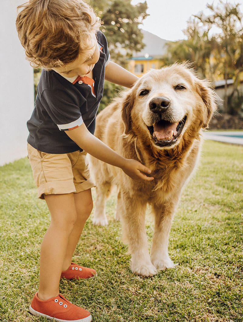 A boy and his dog