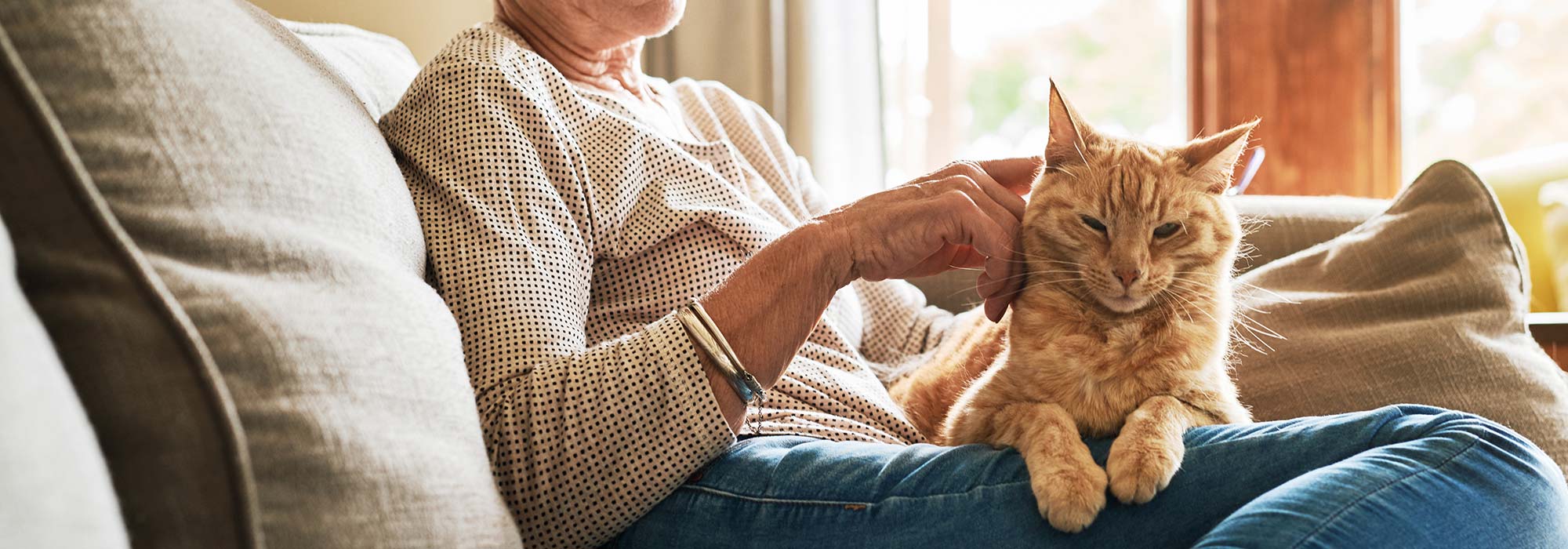 Pet Diagnostics and Lab Testing Cypress, TX